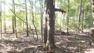 404 247 Country Rd, Bruce, MS 38915