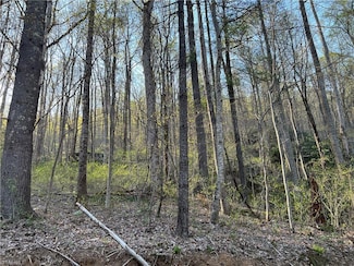 TBD Briar Rock Trail, Fancy Gap, VA 24328