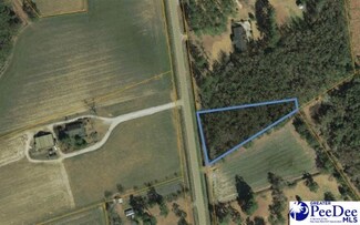 1 Acre Highway 76, Nichols, SC 29581