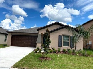 10390 Scarlet Skimmer Dr, Riverview, FL 33578