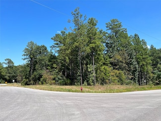 70-21-13 Wagon Pass Dr, Huntsville, TX 77340