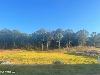 2702 Plank Rd, Hernando, MS 38632