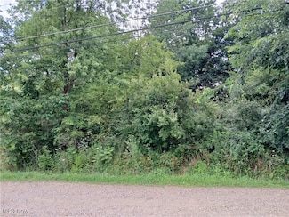 0 Bronco Rd, Charlestown Township, OH 44266