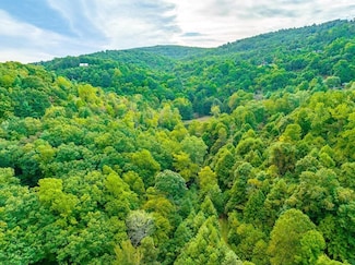 0 Old Pond Trail, Fancy Gap, VA 24328