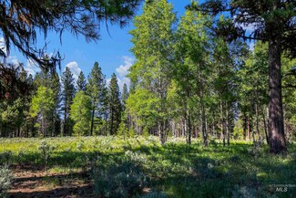 Parcel 8 Harris Creek Rd, Placerville, ID 83666
