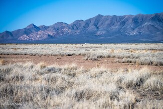 40 Acres W Ortiz Rd Dbl E Unit 32-03, Mc Neal, AZ 85617