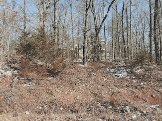 000 Lot 1 Block 13 Morrison Sub, West Plains, MO 65775