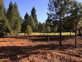 239 Flint Way, Lake Almanor, CA 96137