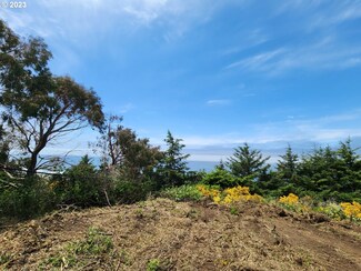 28612 Brooks Rd, Goldbeach, OR 97444