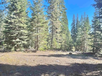 Lot 37 Echo Ct, McCloud, CA 96057