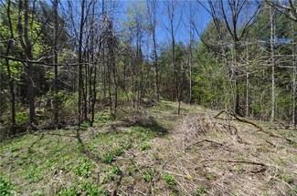 00 D & G Rd, Hot Springs, NC 28743