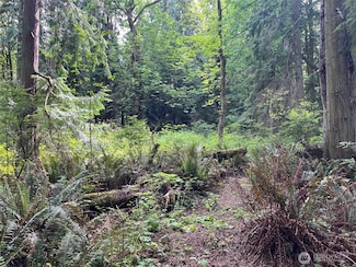 32428 Hoffman Rd NE, Kingston, WA 98346