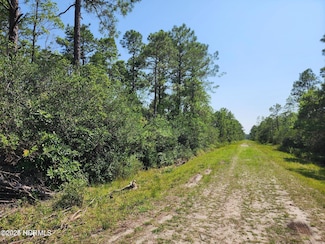 1550 Robin Rd, Boiling Spring Lakes, NC 28461