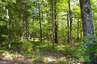 0 Sabillasville Rd Unit 1001189797, Sabillasville, MD 21780