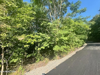 617 N, Allons, TN 38541