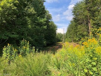 00 Dock Golding Rd, Lowgap, NC 27024