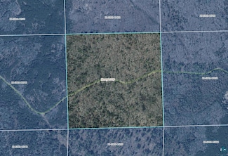xxxx Stony Loop Rd, Stony River Township, MN 55607