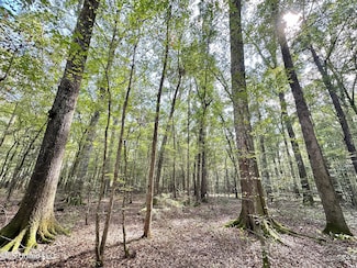 1 Highway 469 N, Florence, MS 39073