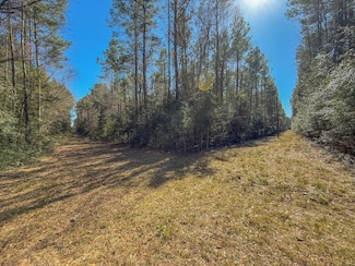 0 Tbd Bowie Rd, Kountze, TX 77625