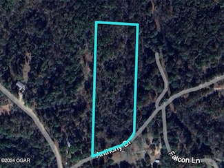 0 Anthony Rd, Center Township, MO 64856