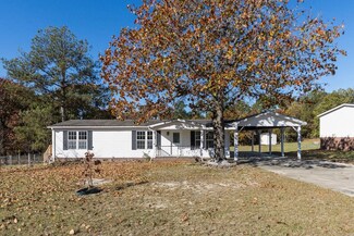 233 Eisler Dr, Lillington, NC 27546