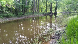 177 Hale Camp Rd, Doyline, LA 71023