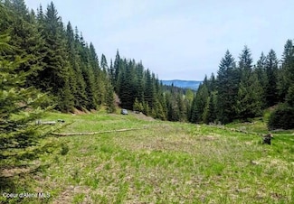 NKA Gold Ridge Rd, St. Maries, ID 83861