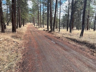 0 Chicken Hawk Unit Lot 20 220192167, Bonanza, OR 97623