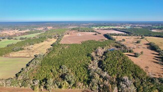 0 Bassett Dairy Rd Unit 380760, Monticello, FL 32344