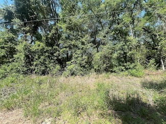 TBD NE 170th Ct, Silver Springs, FL 34488