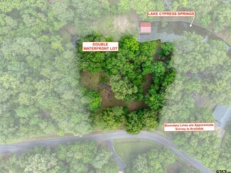 255 Spring Creek Dr, Mount Vernon, TX 75457