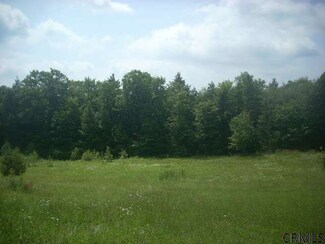 0 Hankey Mull Rd Unit 201121666, East Nassau, NY 12062