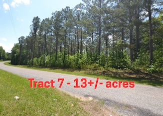 Tract 7 County Road 39 Unit Tract 7, Woodland, AL 36280