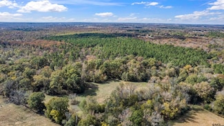 TBD Cr 3170, Winnsboro, TX 75494