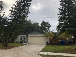 3172 Pine Tree Ave, Largo, FL 33771