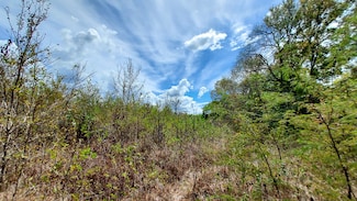 0 Chandlers Way, Huntsville, TX 77320