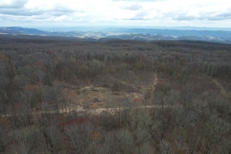 0 Sentry Rd Unit LotWP001, Clinchport, VA 24244