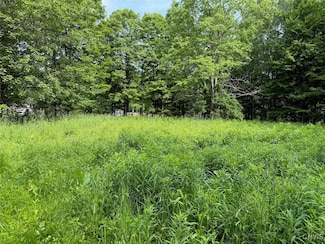206 Durgee Rd, Altmar, NY 13302