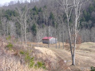 0 Pine Grove Rd, Saint Marys, WV 26170