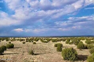 0 211-46-010f Unit 255035, Concho, AZ 85924