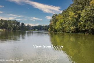 2411 Sturdivant Rd, Jackson's Gap, AL 36853