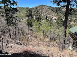 12896 N Ajo Ave Unit 6, Mt. Lemmon, AZ 85619