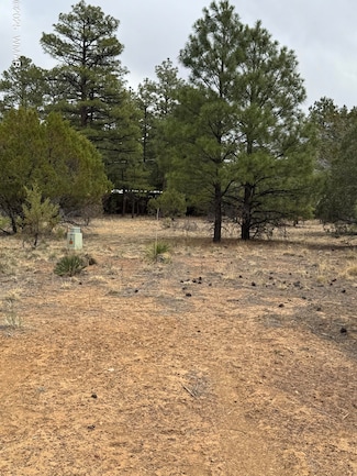 4610 W Hawthorn Rd, Show Low, AZ 85901