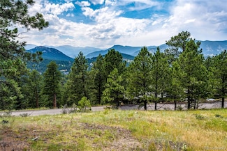 3876 Ridge Rd, Evergreen, CO 80439