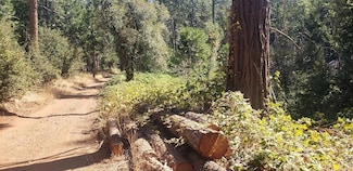 0 Gold Creek Trail Unit 225068394, Volcano, CA 95689