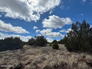 68 8114, Concho, AZ 85924