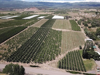 1168 NW Cedar Ave, Cedaredge, CO 81413