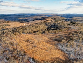208 Cabin Rd, Ava, MO 65608