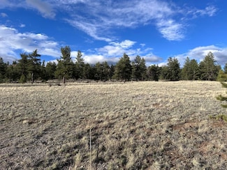 38 Opal Dr, Hartsel, CO 80449