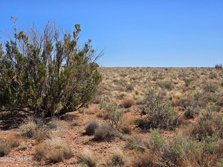 7809 Miller Trail, Snowflake, AZ 85937